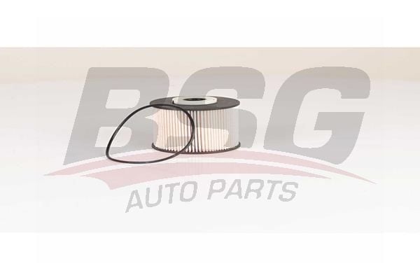Ford Mondeo 2007-2015 Arası 2.0 TDCi BSG Marka Yakıt Filtresi