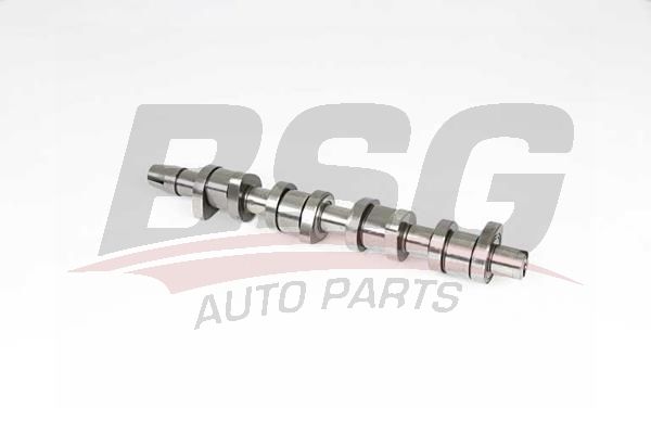 Volkswagen Polo 2001-2014 Arası 1.9 TDI BSG Marka Eksantrik Mili