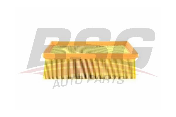 Peugeot 206 1998-2012 Arası 2.0 RC BSG Marka Hava Filtresi