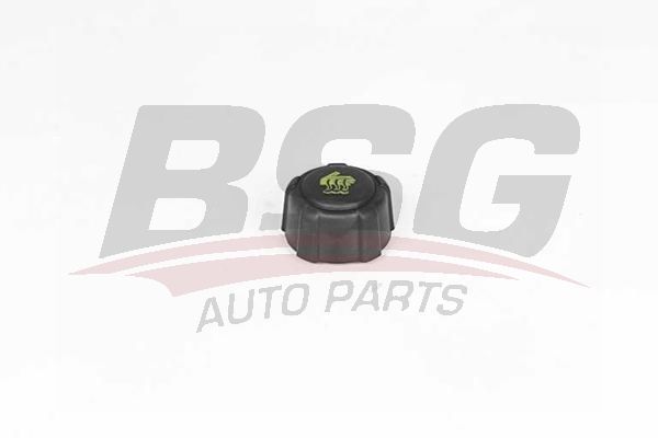 Renault Megane 2001-2014 Arası 1.5 dCi, 1.6 16V, 2.0 TCe, 2.0 CVT BSG Marka Radyatör Yedek Su Depo Kapağı