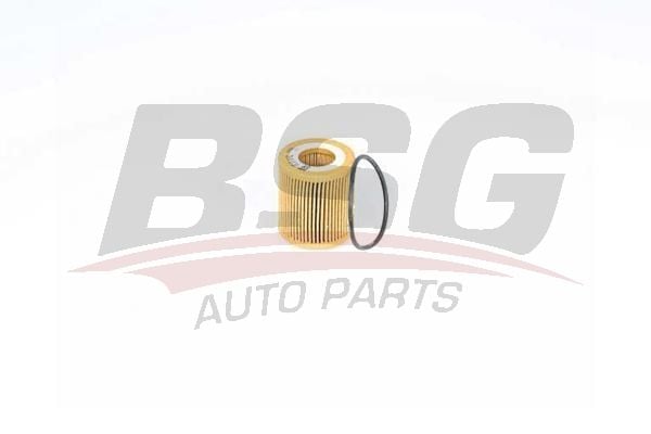 Ds Ds 7 2017-2021 Arası 1.5 BlueHDi 130 BSG Marka Yağ Filtresi