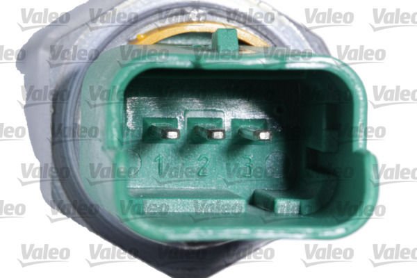Citroen C4 2009-2013 Arası 1.6 VTi 120, 1.6 HDi 110, 1.4 VTi 95, 1.6 HDi 90, 1.6 THP 155 Valeo Marka Yağ Seviye Sensörü