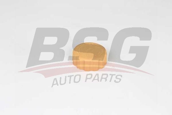 Chevrolet Nubira 2005-2011 Arası 1.4 BSG Marka Radyatör Yedek Su Depo Kapağı