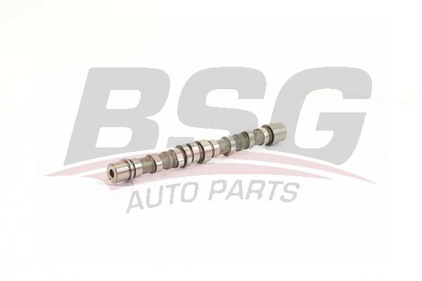 Fiat Punto Evo 2008-2012 Arası 1.3 D Multijet BSG Marka Eksantrik Mili