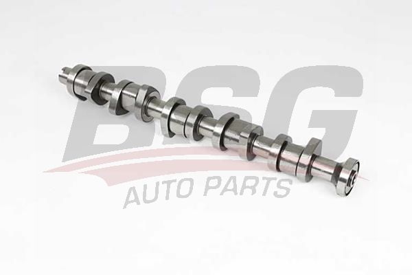 Volkswagen Touareg 2002-2013 Arası 2.5 R5 TDI BSG Marka Eksantrik Mili