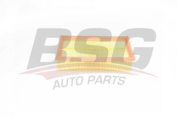 Renault Modus 2004-2008 Arası 1.5 dCi 75, 1.5 dCi 90 BSG Marka Hava Filtresi