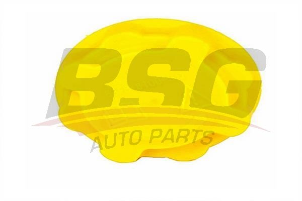 Ford Escort 1983-2002 Arası 1.6 D, 1.6 i, 1.4, 1.1, 1.6 Turbo RS, 1.8 D, 1.3, 1.6 XR3i BSG Marka Radyatör Yedek Su Depo Kapağı
