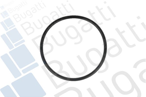 Citroen Berlingo 1996-2011 Arası 1.1 i, 1.4 i Bugatti Marka Devirdaim Su Pompası
