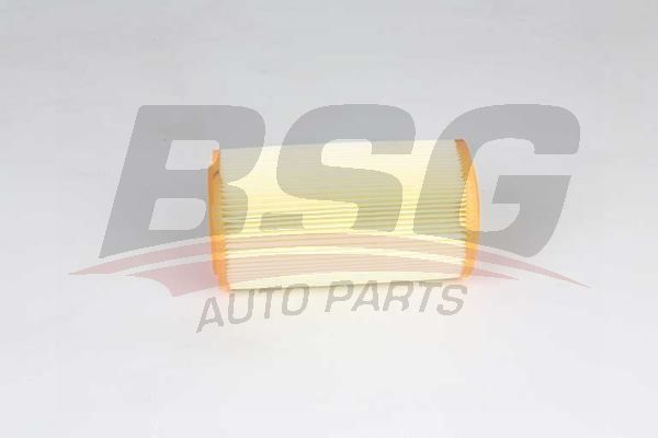 Peugeot Partner 1996-2015 Arası 1.9 D BSG Marka Hava Filtresi