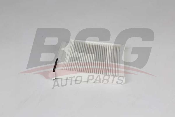 Dacia Logan 2004-2008 Arası 1.4 MPI LPG BSG Marka Polen Filtresi