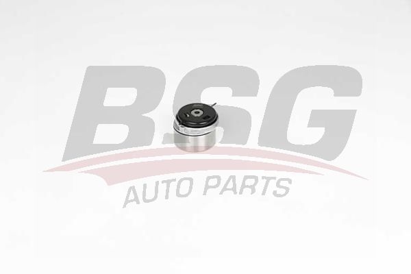 Opel Zafira 2005-2015 Arası 1.6 CNG Turbo VAN, 1.8 VAN BSG Marka Triger Gergi Rulmanı