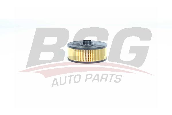 Renault Kangoo 2008-2012 Arası 1.2 TCe 115 BSG Marka Yağ Filtresi