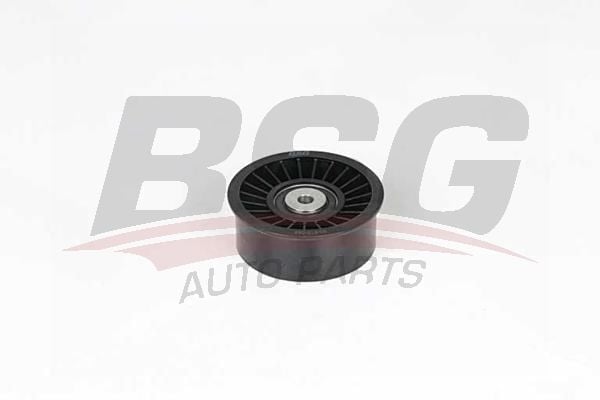 Renault Espace 1996-2002 Arası 2.2 dCi BSG Marka Triger Gergi Rulmanı