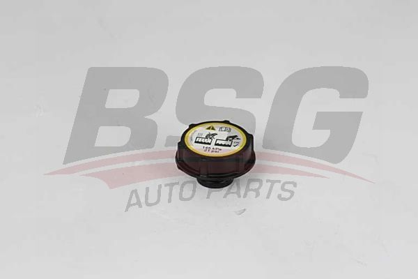 Ford Mondeo 2007-2015 Arası 2.0 TDCi, 2.0 LPG BSG Marka Radyatör Yedek Su Depo Kapağı