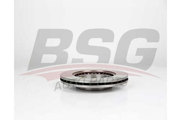 Renault 19 1988-2003 Arası 1.8 16V, 1.9 D, 1.8, 1.7 BSG Marka Ön Fren Diski