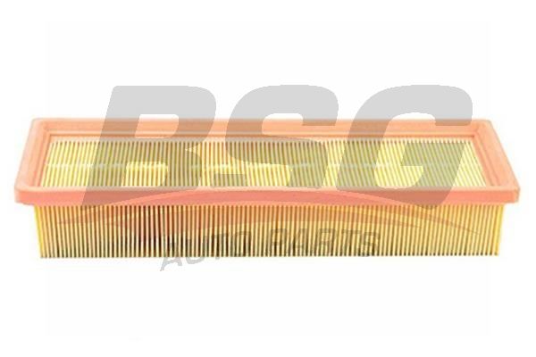 Citroen C3 2002-2006 Arası 1.1 i, 1.4 i Bivalent BSG Marka Hava Filtresi