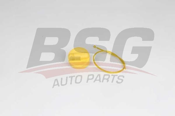 Renault Clio 2005-2014 Arası 1.5 dCi BSG Marka Motor Yağ Çubuğu