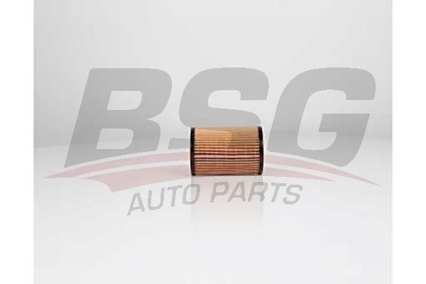 Opel Sintra 1996-1999 Arası 2.2 DTI BSG Marka Yağ Filtresi