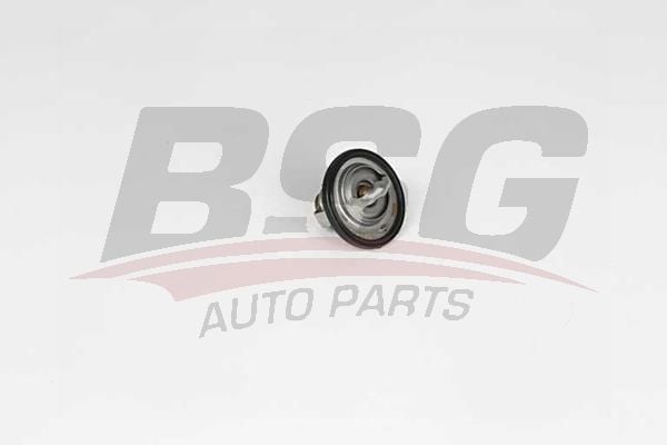 Chevrolet Kalos 2005-2009 Arası 1.2 BSG Marka Termostat