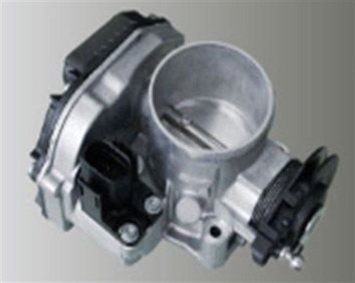 Audi A6 1997-2005 Arası 1.8 T quattro, 1.8 T Magneti Marelli Marka Gaz Kelebeği