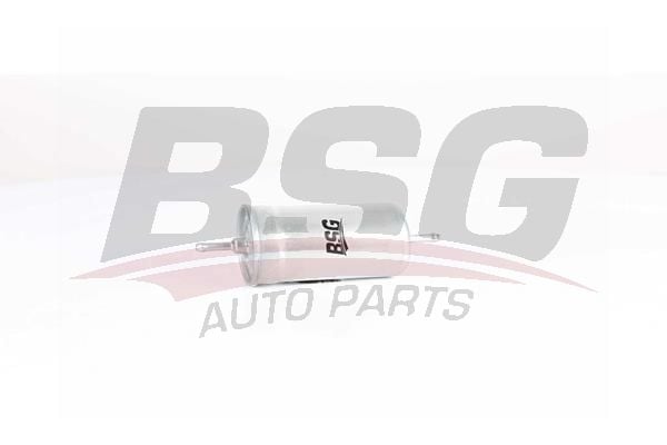 Volkswagen Polo 1981-1994 Arası 1.3 Cat, 1.0 Cat BSG Marka Yakıt Filtresi