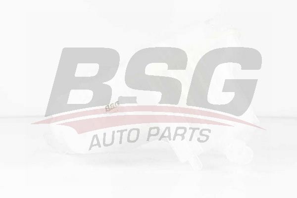 Peugeot 407 2004-2011 Arası 2.0 HDi 135, 1.6 HDi 110 BSG Marka Radyatör Yedek Su Deposu