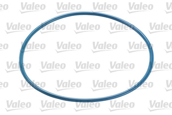 Citroen C4 2009-2013 Arası 2.0 HDi / BlueHDi 150 Valeo Marka Yakıt Filtresi