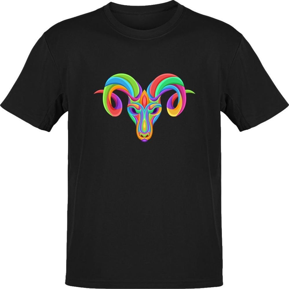 Koç Burcu Renkli Sembol Siyah T-Shirt