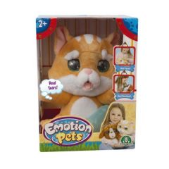 EMOTION PETS Evcil Hayvanlar Kedi Yavrusu