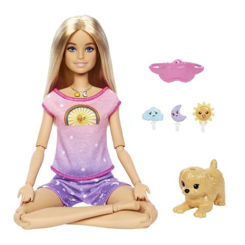 Barbie Meditasyon Yapıyor Oyun Seti HHX64