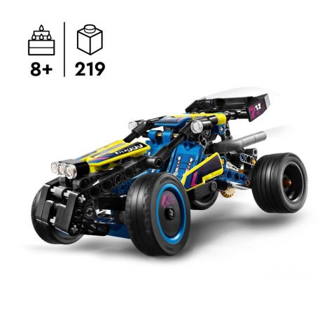 LEGO Technic Arazi Yarışı Arabası 42164