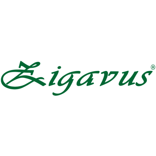 Zigavus
