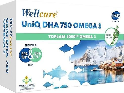 Wellcare Uniq DHA 750 Omega 3 30 Kapsül