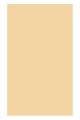 TİCON 252809 FON KARTONU 50X70 100 LÜ TEN RENGİ