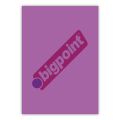 BİGPOİNT BP688-67T A4 CİLT KAPAĞI 150 MİKRON ŞEFFAF MOR 100'LÜ PAKET