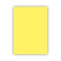 BİGPOİNT BP700-14 FON KARTONU 50X70CM 160 GRAM SARI 100' LÜ PAKET