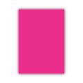 BİGPOİNT BP700-22 FON KARTONU 50X70CM 160 GRAM PEMBE 100' LÜ PAKET
