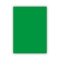 BİGPOİNT BP700-57 FON KARTONU 50X70CM 160 GRAM KOYU YEŞİL 100' LÜ PAKET