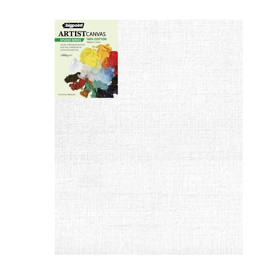 BİGPOİNT BPPE5308-4050 STUDİO TUVAL 40X50CM - 300GRAM