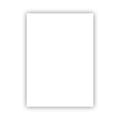 BİGPOİNT BP701-01 FON KARTONU 50X70CM 120 GRAM BEYAZ 100' LÜ PAKET