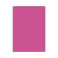 BİGPOİNT BP703-22 FOSFORLU FON KARTONU 50X70CM PEMBE 50'Lİ PK.