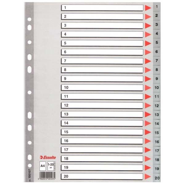 ESSELTE 100107 SEPERATÖR A4 1-20 RAKAM GRİ 10'LU KT