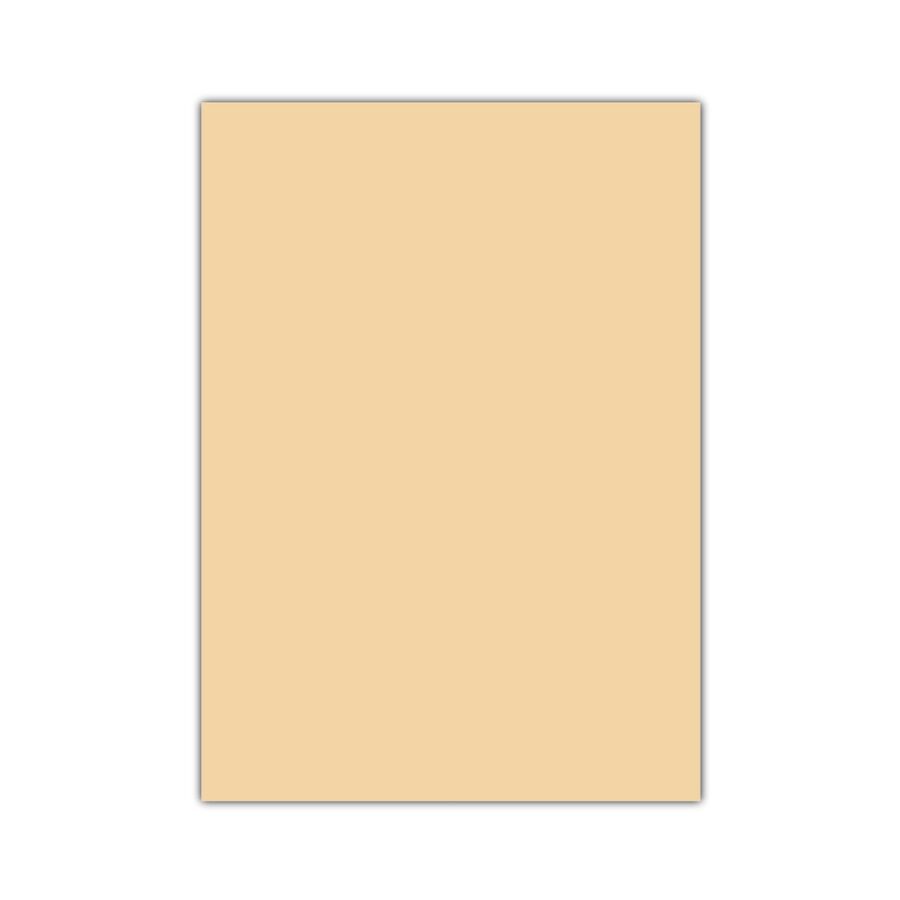 BİGPOİNT BP730-62 EVA 50X70CM TEN RENGİ 10'LU PAKET