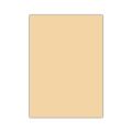 BİGPOİNT BP730-62 EVA 50X70CM TEN RENGİ 10'LU PAKET