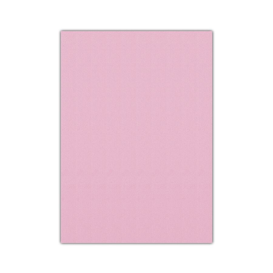 BİGPOİNT BP730-63 EVA 50X70CM PEMBE 10'LU PAKET