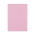 BİGPOİNT BP730-63 EVA 50X70CM PEMBE 10'LU PAKET