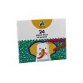 ADEL 867002 PASTEL BOYA 24 RENK
