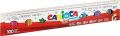 CARİOCA 41019 JOY SÜPER YIKANABİLİR KEÇELİ BOYA 100'LÜ