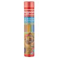 BİGPOİNT BP941-12 METAL TÜPDE KURU BOYA KALEMİ 12 RENK 24'LÜ KT.