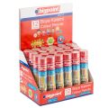 BİGPOİNT BP941-12 METAL TÜPDE KURU BOYA KALEMİ 12 RENK 24'LÜ KT.